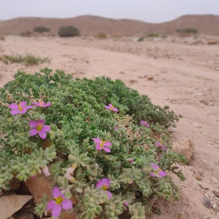 Desert Path Be'er Ora المظهر الخارجي الصورة