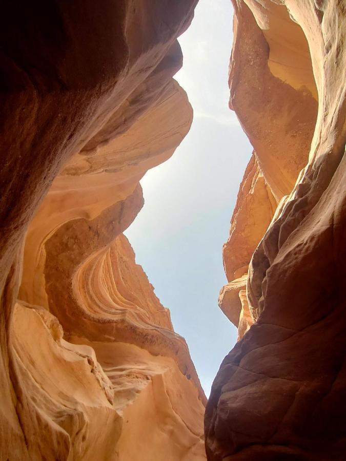 Desert Path Be'er Ora المظهر الخارجي الصورة