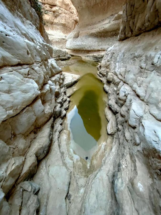 Desert Path Be'er Ora المظهر الخارجي الصورة